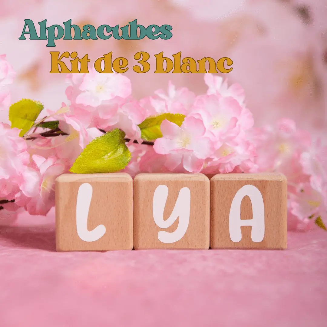 Louyou ALPHACUBES kit de 4 cubes noir blanc et gris avec stickers