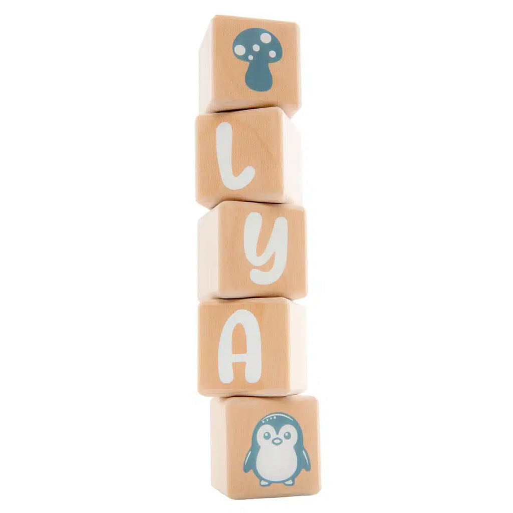 Louyou ALPHACUBES kit de 5 cubes noir blanc et gris avec stickers