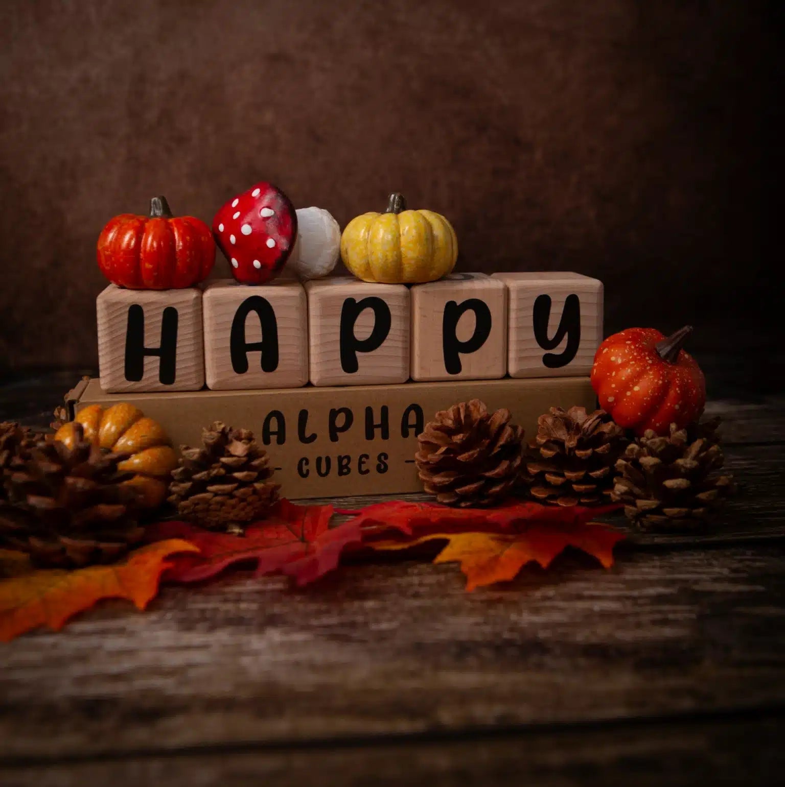 Louyou ALPHACUBES kit de 5 cubes noir blanc et gris avec stickers