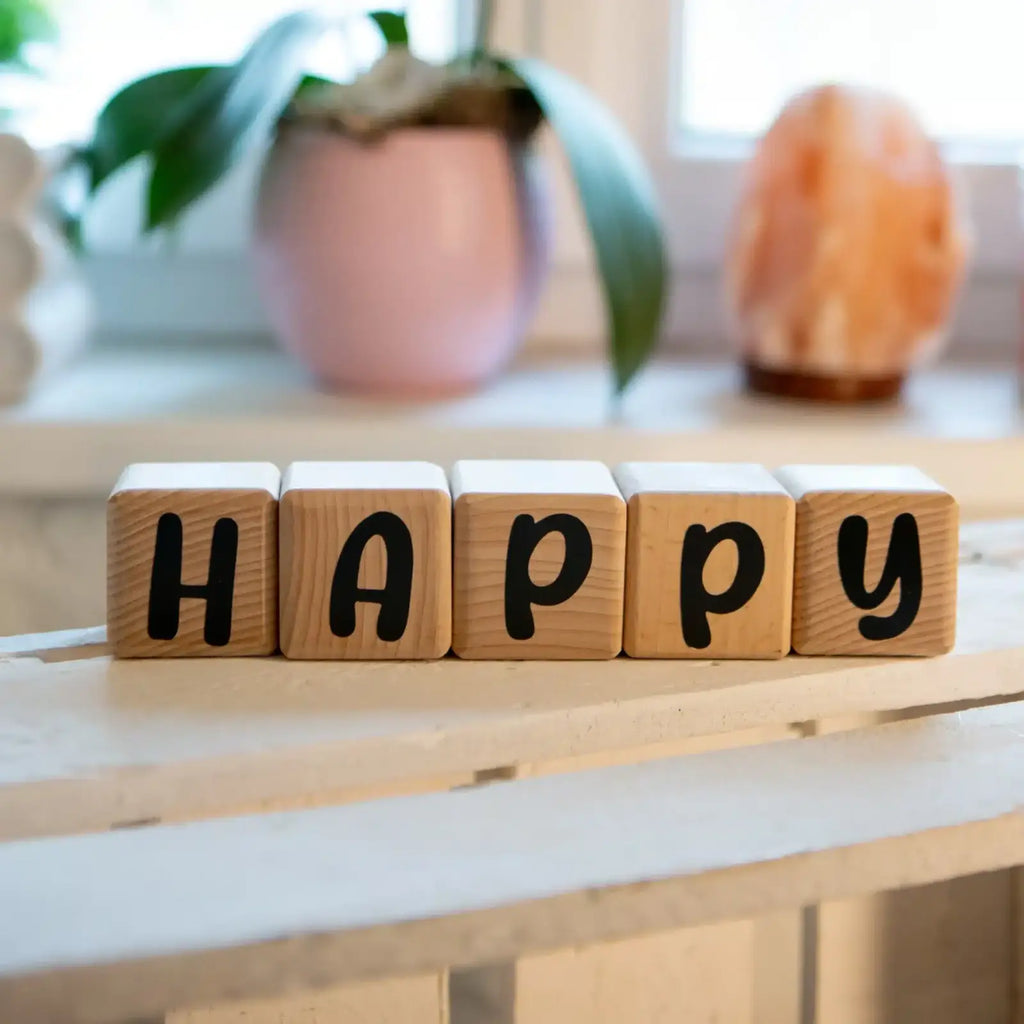 Louyou ALPHACUBES kit de 5 cubes noir blanc et gris avec stickers